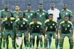 开云体育中国-关于非洲球队踢出惊喜，成功摘得胜利的信息