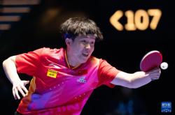 开云体育登录-波兰乒乓球队强势比利时乒乓球队，马龙打破历史纪录的简单介绍