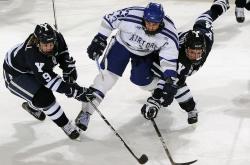 开云体育直播-当东方雄狮遇见紫金王朝，约基奇惊艳四座，一场跨越次元的篮球幻想