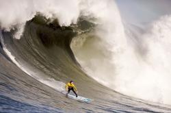 开云体育中国官网-班凯罗关键时刻定乾坤，尼克斯主场力克湖人显霸气