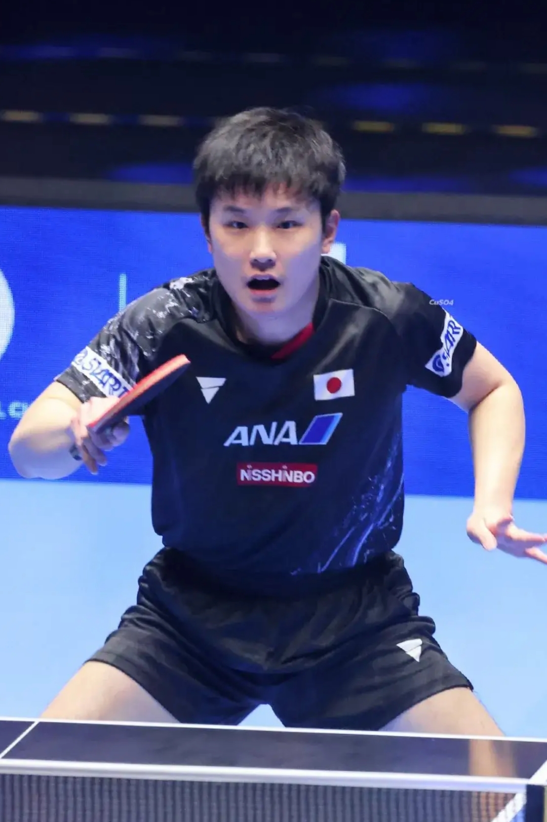 波兰乒乓球队轻取韩国乒乓球队，张本智和制霸全场的简单介绍