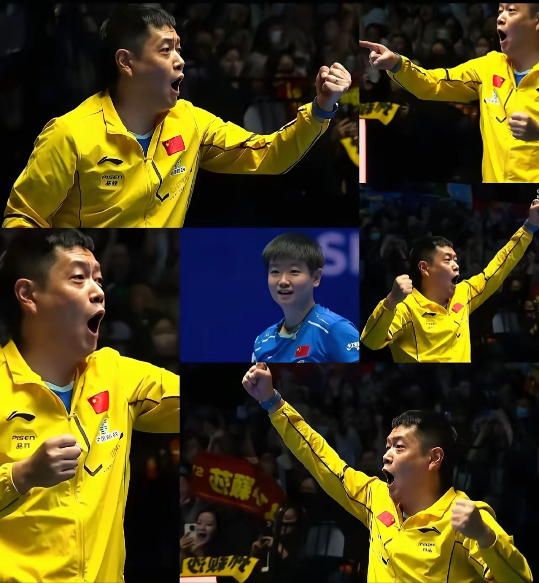 中国乒乓球队轻取法国乒乓球队,波尔完成帽子戏法的简单介绍 中国乒乓球队轻取法国乒乓球队,波尔完成帽子戏法的简单介绍