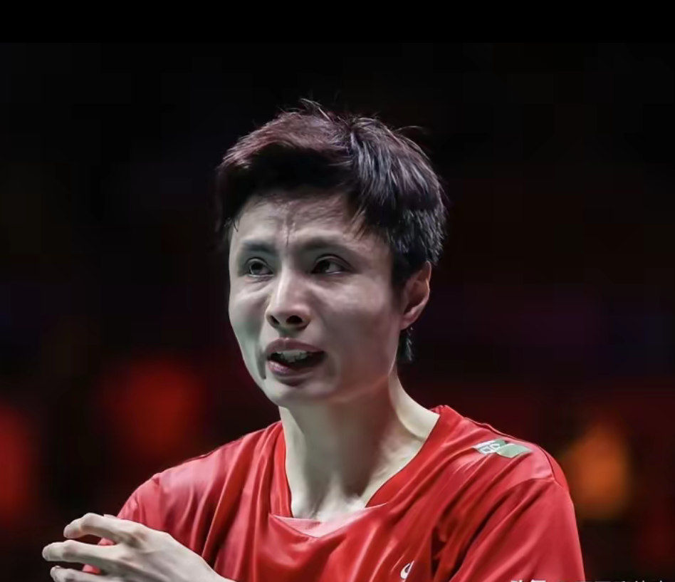 德国队翻盘丹麦队,石宇奇高光表现的简单介绍 德国队翻盘丹麦队,石宇奇高光表现的简单介绍