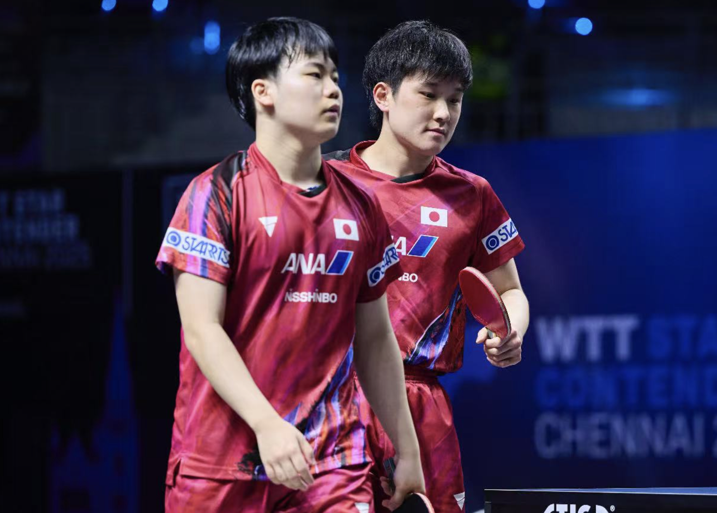 包含法国队横扫韩国队，张本智和统治全场的词条