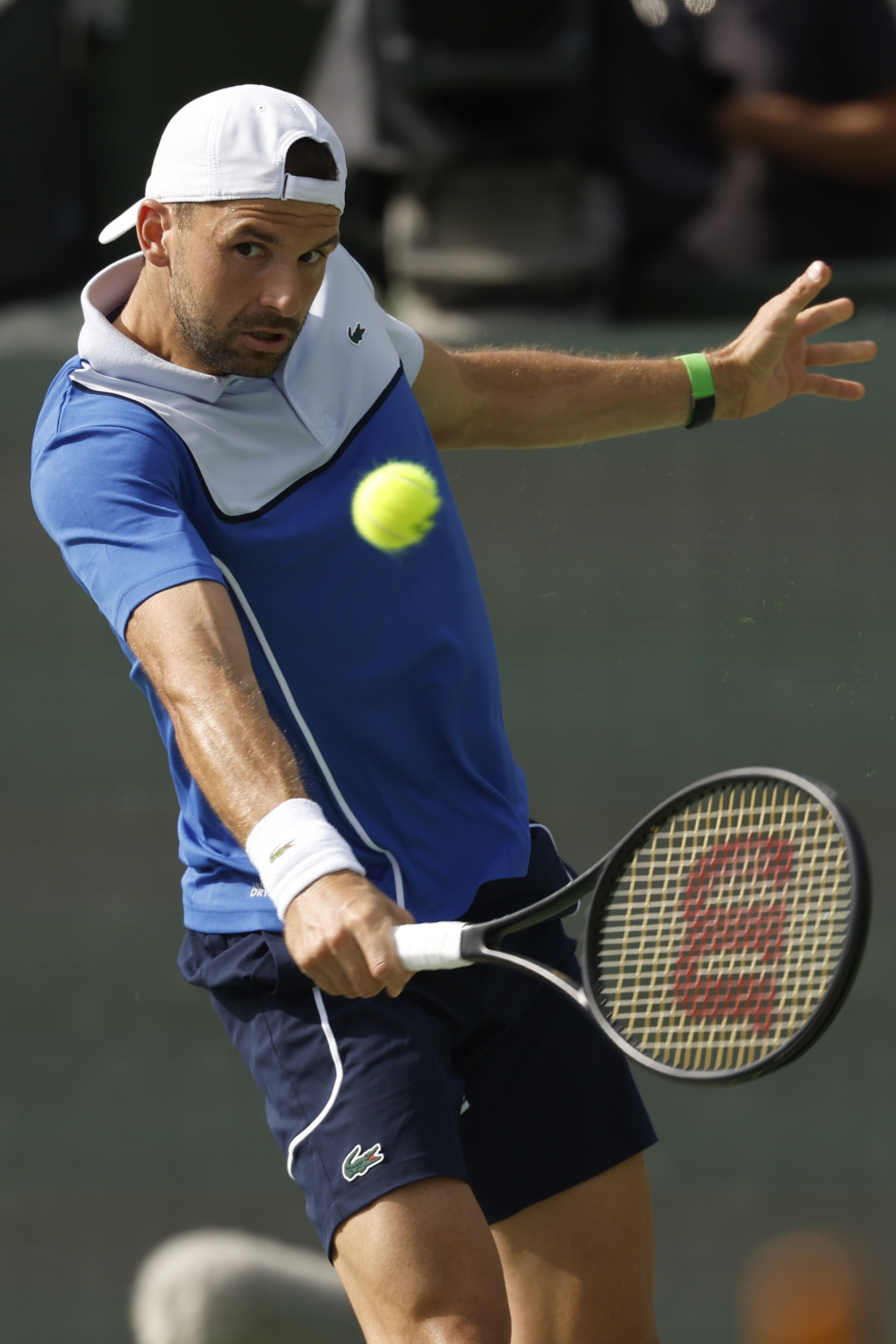 包含西班牙网球队血洗日本网球队，梅德韦杰夫打破历史纪录的词条